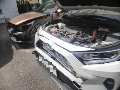 2019 Toyota RAV4 VIN: