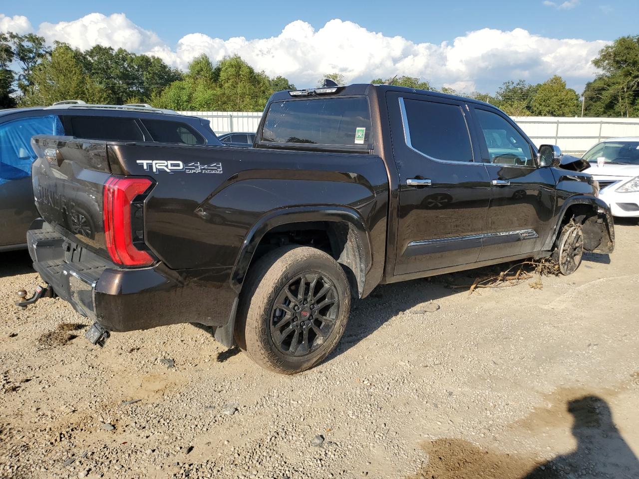2023 TOYOTA TUNDRA CREWMAX PLATINUM VIN:5TFMC5DB7PX026145
