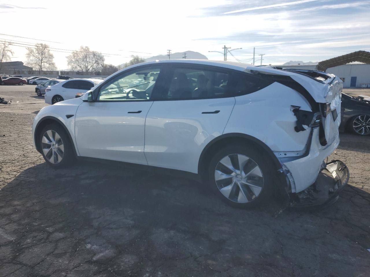 2023 TESLA MODEL Y  VIN:7SAYGDEE1PF638153