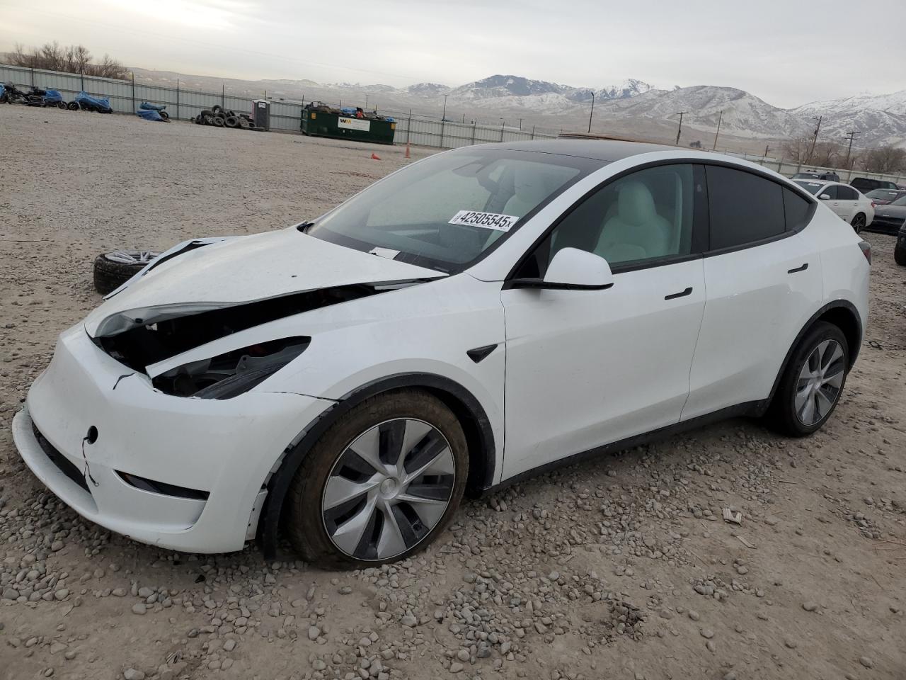 2023 TESLA MODEL Y  VIN:7SAYGAEE5PF824356