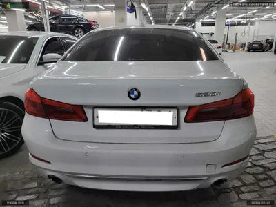 2019 BMW 520 WBAJK7109KBP73785 VIN:WBAJK7109KBP73785
