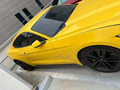 2016 Ford Mustang 1FA6P8TH9H5201664 VIN:1FA6P8TH9H5201664