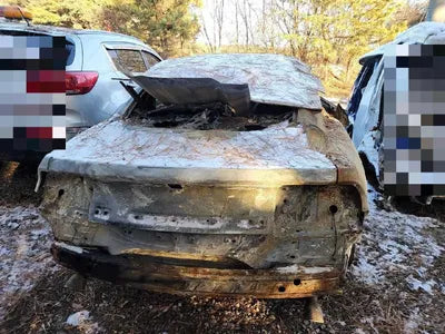 2019 Ford Mustang VIN: