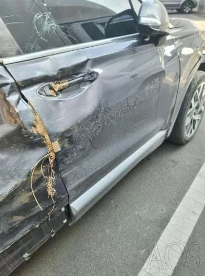 2020 Hyundai Santa FE KMHS581HGMU341212 VIN:KMHS581HGMU341212