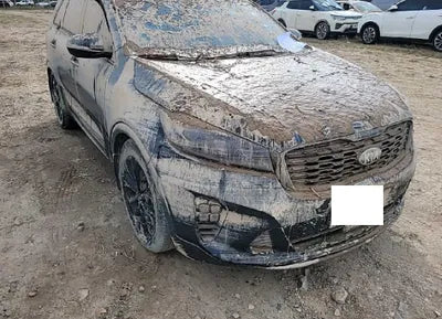 2019 Kia Sorento KNAPK81BBKA491995 VIN:KNAPK81BBKA491995