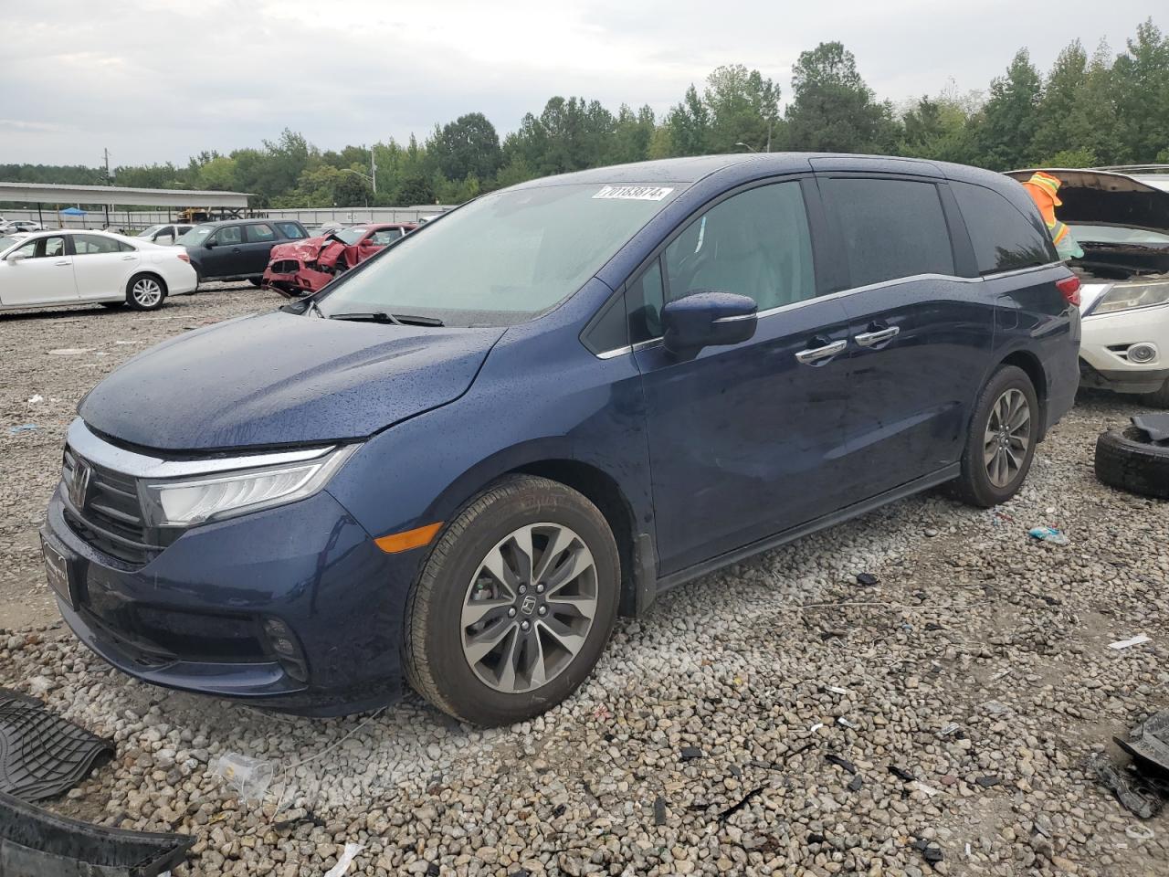 2024 HONDA ODYSSEY EXL VIN:5FNRL6H60RB041317