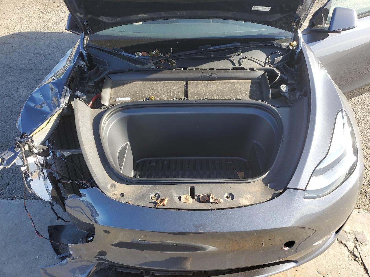 2023 TESLA MODEL Y VIN:7SAYGDEE6PA119497