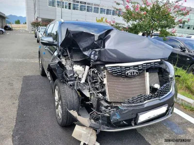 2019 Kia Sorento KNAPS81ABKA514794 VIN:KNAPS81ABKA514794