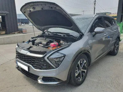 2023 Kia Sportage KNAPX81GBRK110003 VIN:KNAPX81GBRK110003