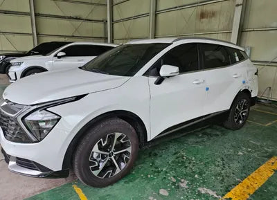 2023 Kia Sportage KNAPW81GBPK049919 VIN:KNAPW81GBPK049919