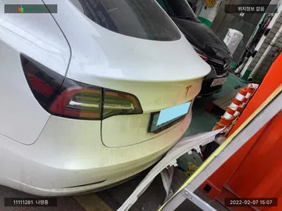 2019 Tesla Model 3 5YJ3E1EB3LF585774 VIN:5YJ3E1EB3LF585774