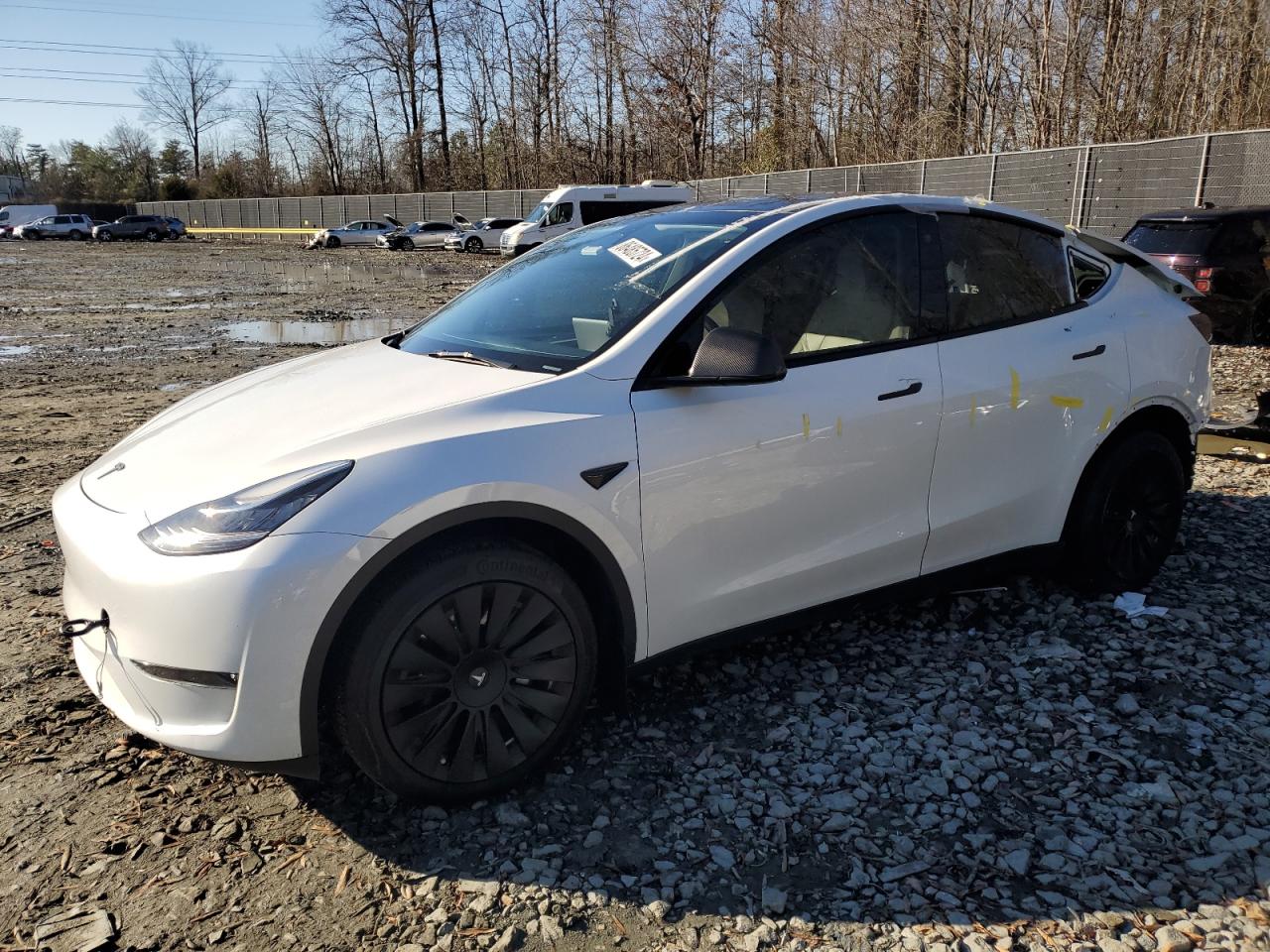 2023 TESLA MODEL Y  VIN:7SAYGDEE9PA073793