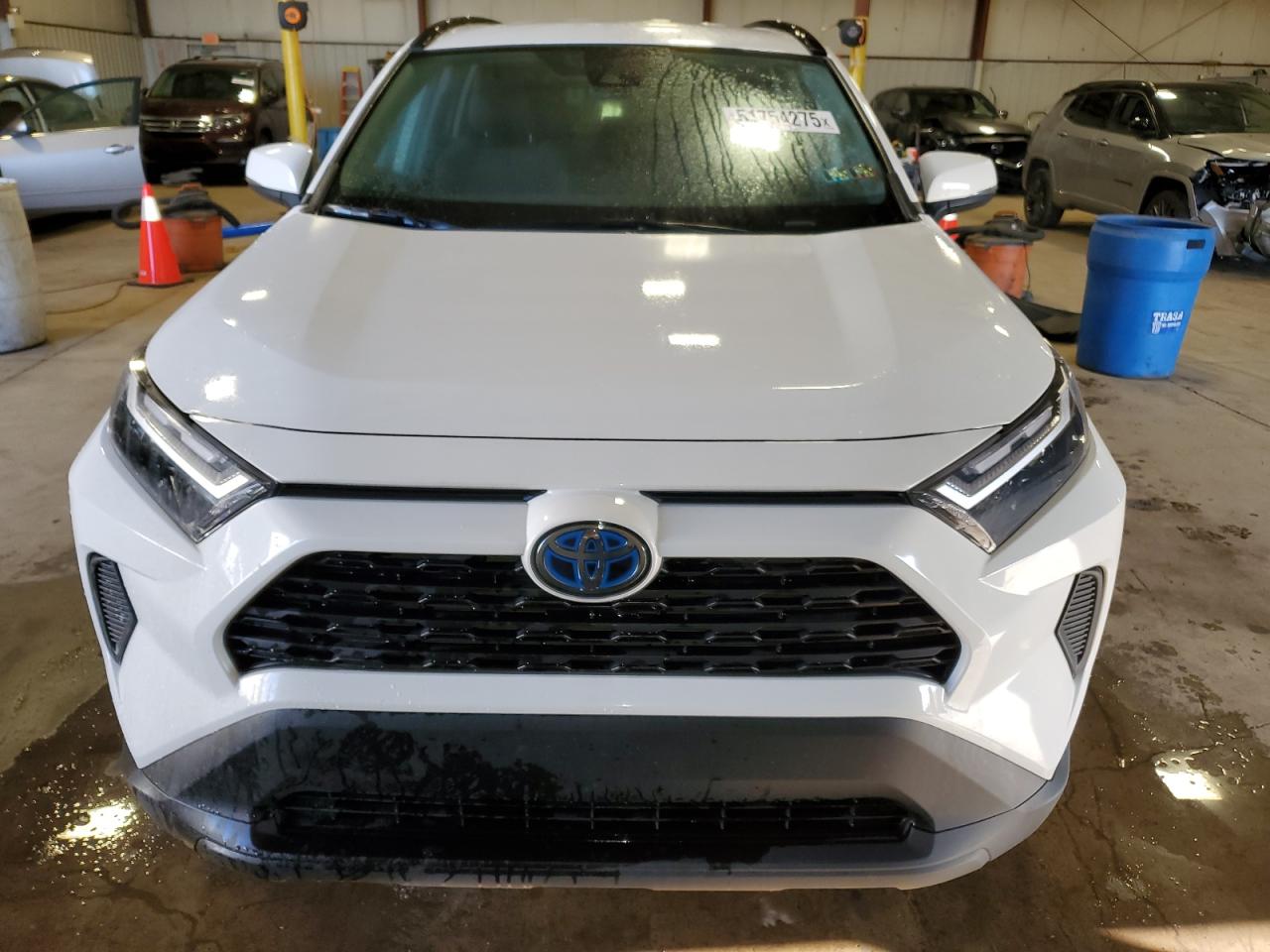 2023 TOYOTA RAV4 XLE VIN:4T3RWRFV8PU092848