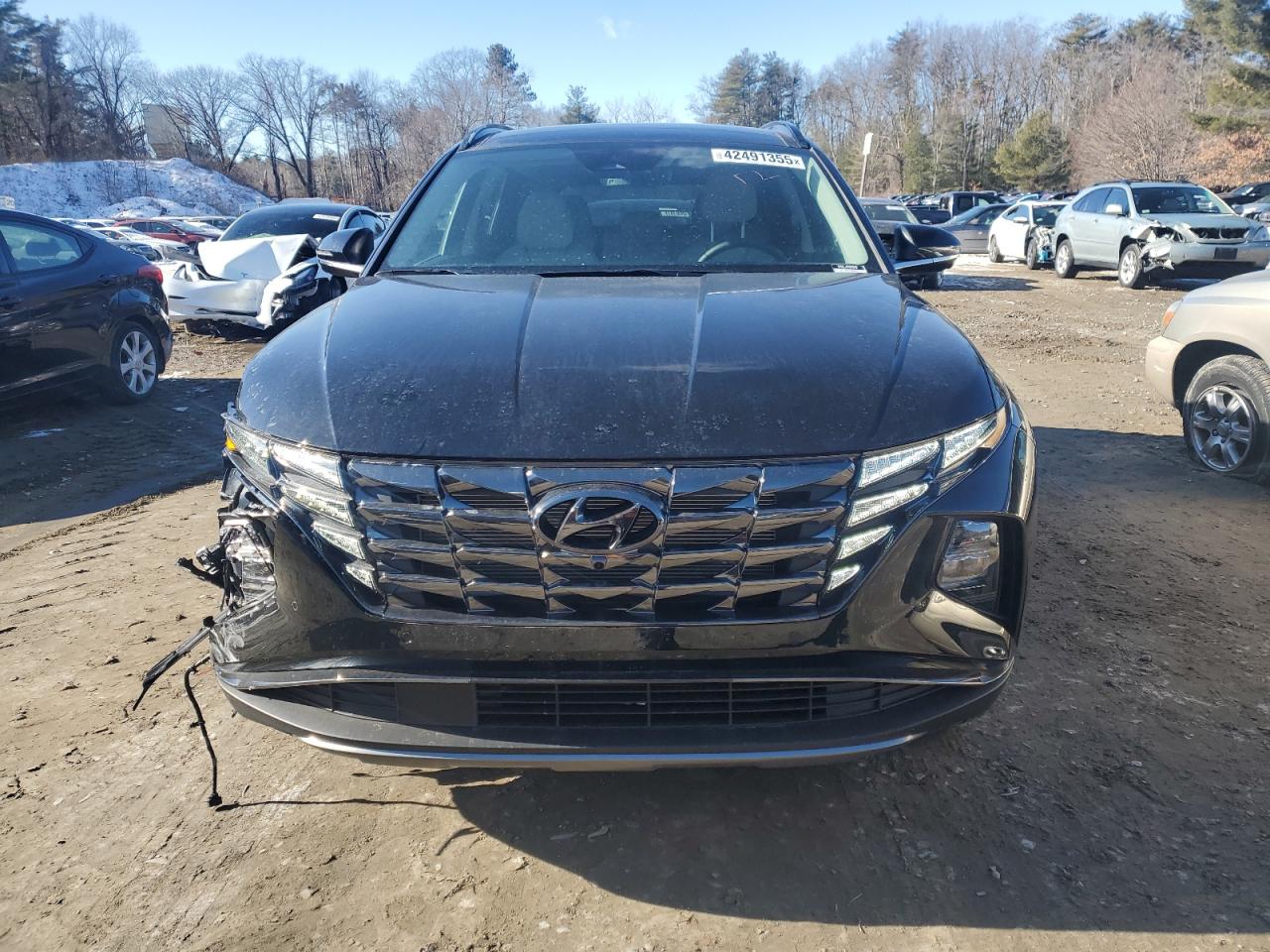 2024 HYUNDAI TUCSON LIMITED VIN:5NMJECDE0RH434509