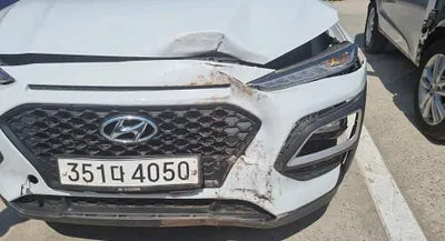 2019 Hyundai Kona KMHK4815GKU384793 VIN:KMHK4815GKU384793