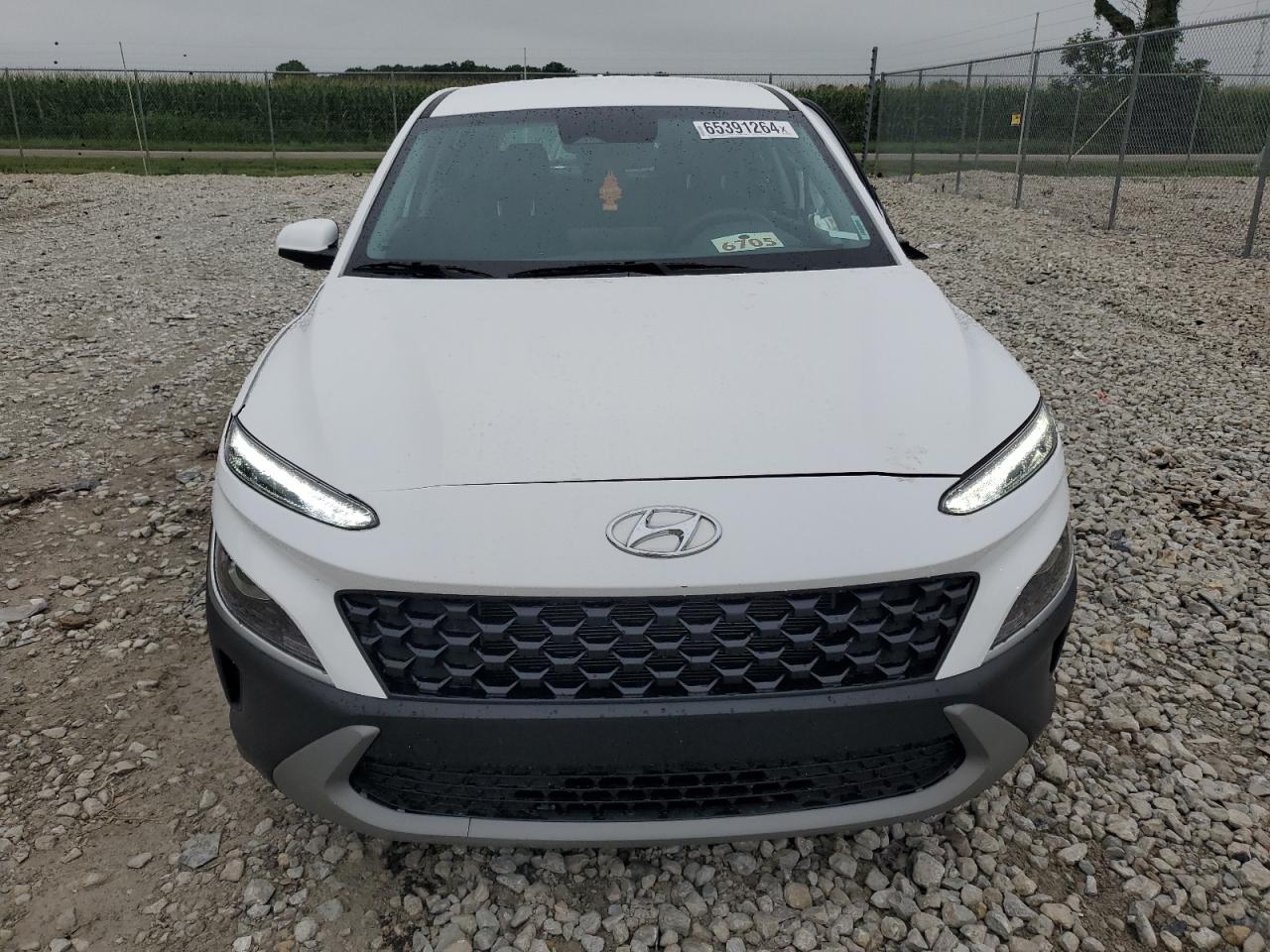 2022 HYUNDAI KONA SEL VIN:KM8K2CAB9NU816916