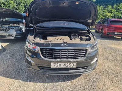 2019 Kia Carnival KNHMF37ABKS585122 VIN:KNHMF37ABKS585122