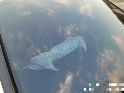 2020 Mercedes-Benz A 220 W1K3G4EB5LJ239283 VIN:W1K3G4EB5LJ239283