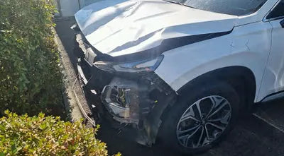 2020 Hyundai Santa FE KMHS381ABLU267357 VIN:KMHS381ABLU267357