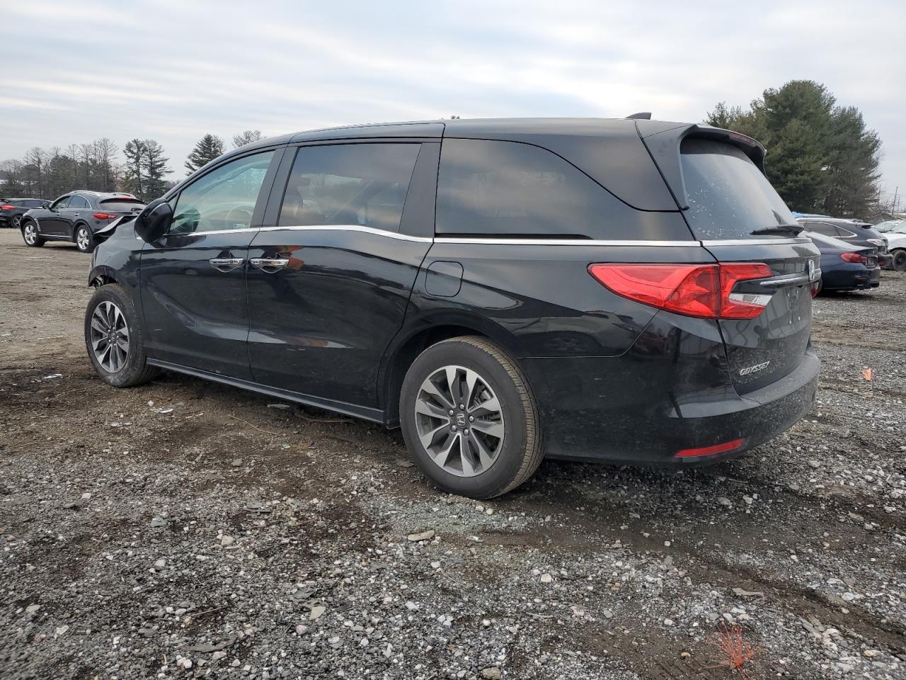 2024 HONDA ODYSSEY EXL VIN:5FNRL6H6XRB057847