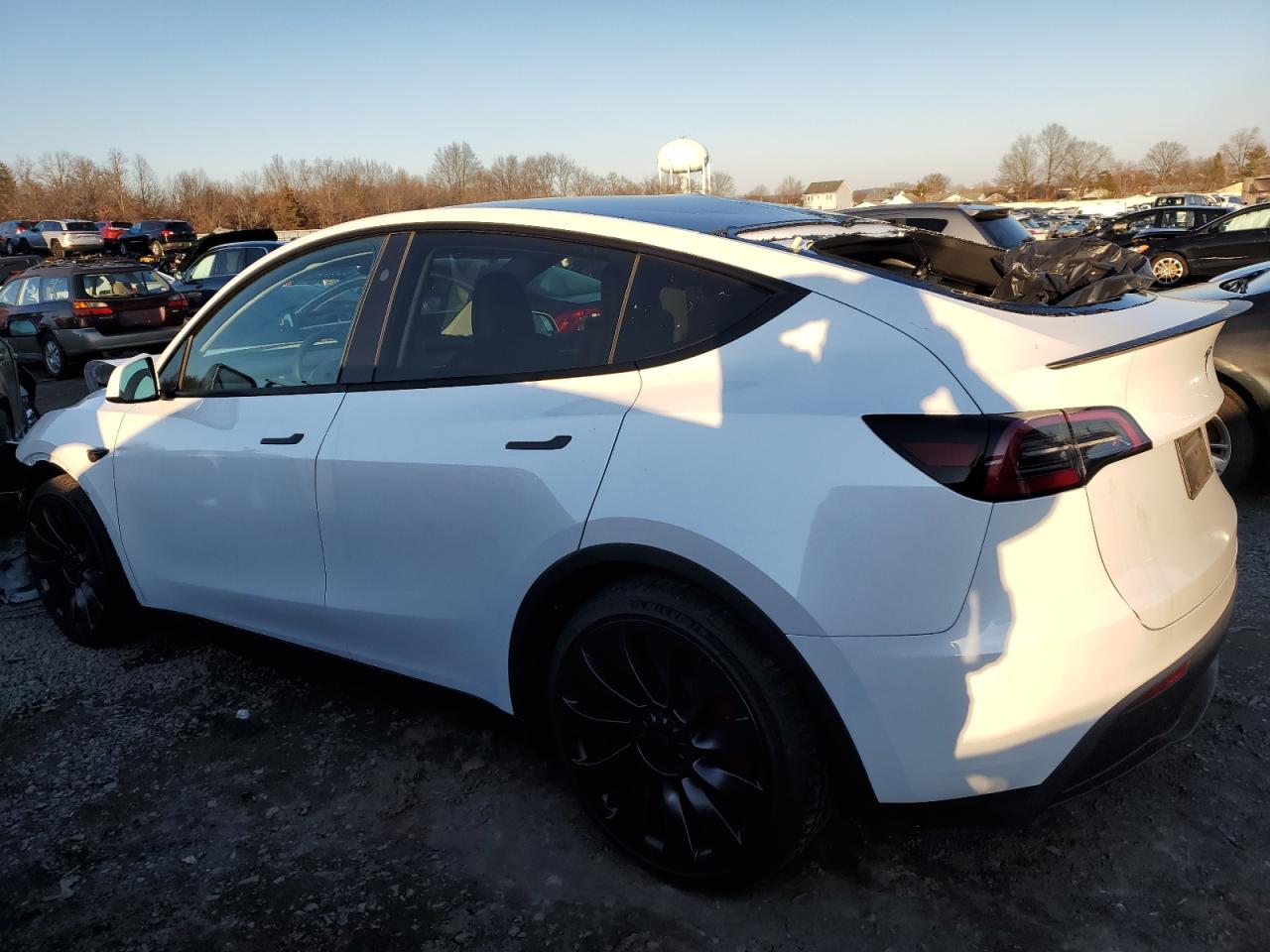 2024 TESLA MODEL Y  VIN:7SAYGDEF1RA261719