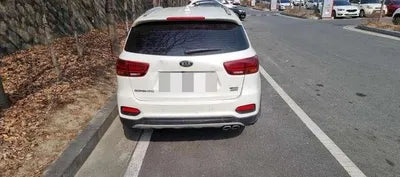 2019 Kia Sorento KNAPK81BDLA554946 VIN:KNAPK81BDLA554946