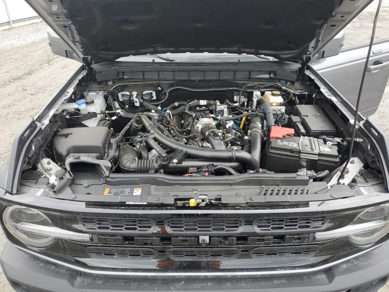 2023 FORD BRONCO BASE VIN:1FMEE5DP6PLC19531