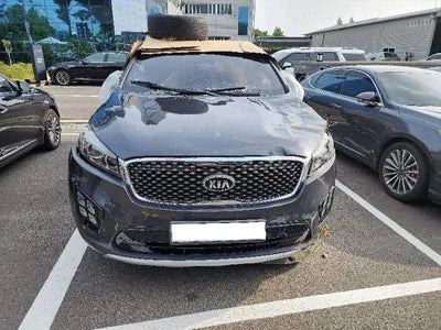 2017 Kia Sorento KNAPS81ABHA358737 VIN:KNAPS81ABHA358737
