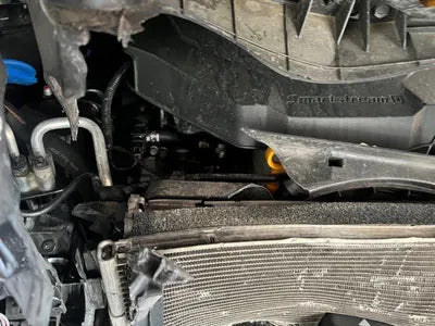 2020 Kia Carnival KNANC81BBMS029359 VIN:KNANC81BBMS029359