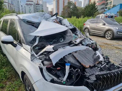 2021 Kia Carnival KNANB81BBMS069976 VIN:KNANB81BBMS069976