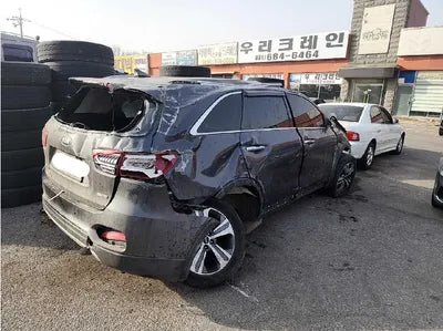 2019 Kia Sorento KNAPS811DKA488917 VIN:KNAPS811DKA488917