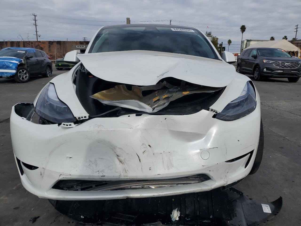 2024 TESLA MODEL Y  VIN:7SAYGDEF8RF179750