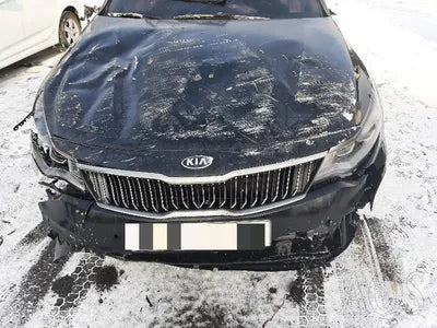 2018 Kia K5 KNAGU411BKA269045 VIN:KNAGU411BKA269045