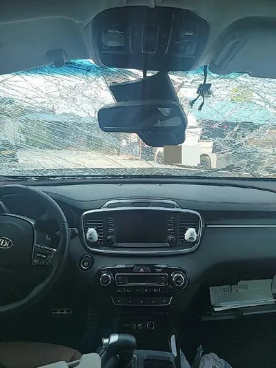 2019 Kia Sorento KNAPH81BBLA612488 VIN:KNAPH81BBLA612488