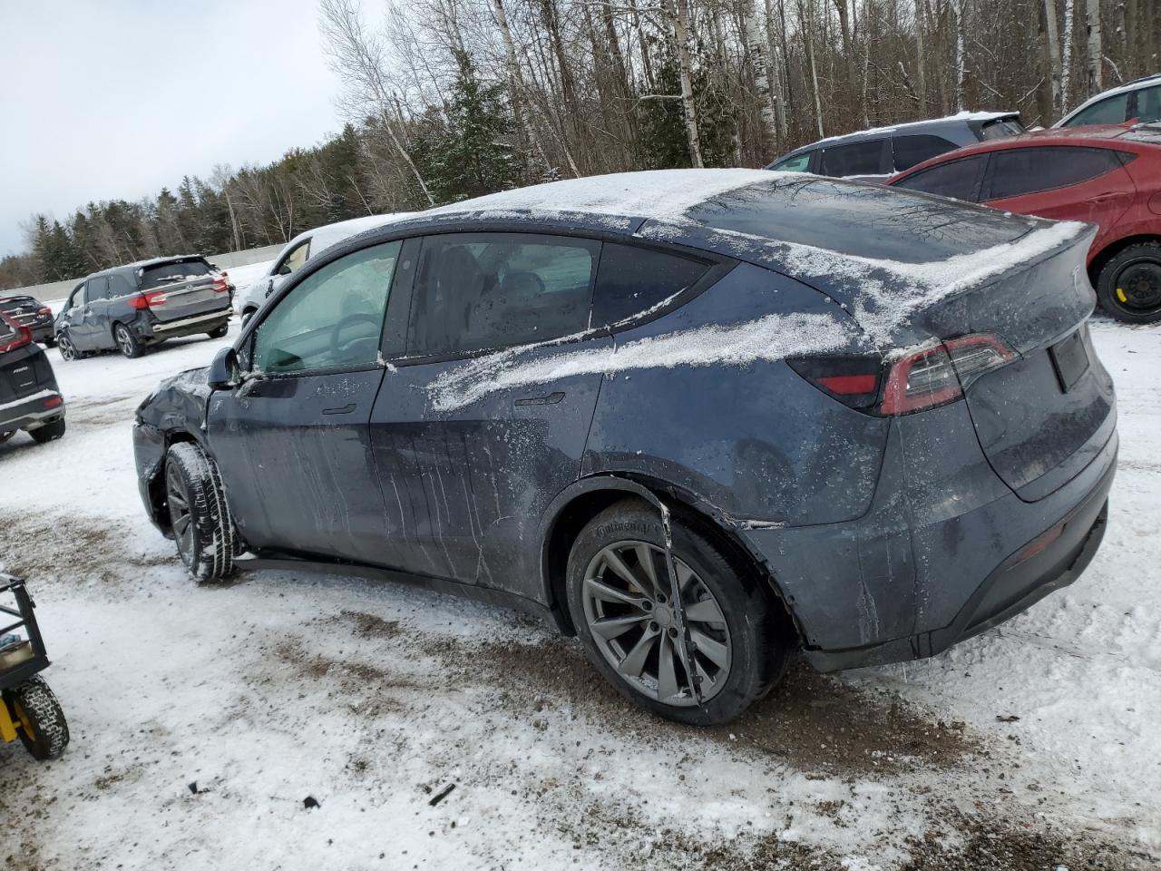 2023 TESLA MODEL Y  VIN:7SAYGDEE0PF597059
