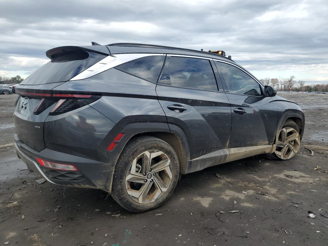 2024 HYUNDAI TUCSON LIMITED VIN:5NMJECDE2RH295709