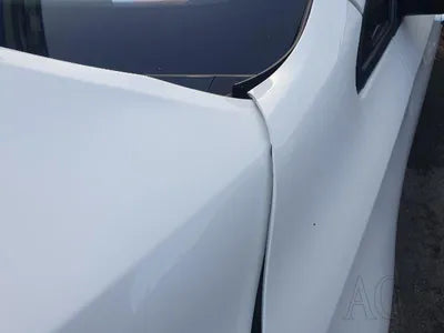 2019 Kia Carnival KNAMB81ABKS556683 VIN:KNAMB81ABKS556683