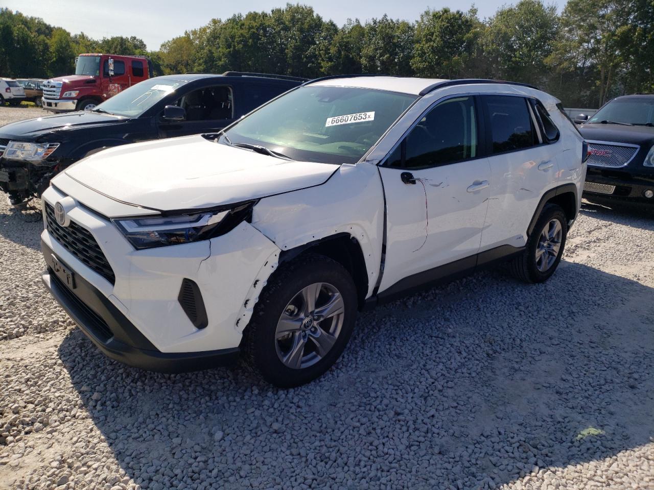 2023 TOYOTA RAV4 XLE VIN:JTMRWRFV1PD171565