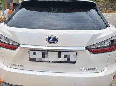 2019 Lexus RX 450 VIN: