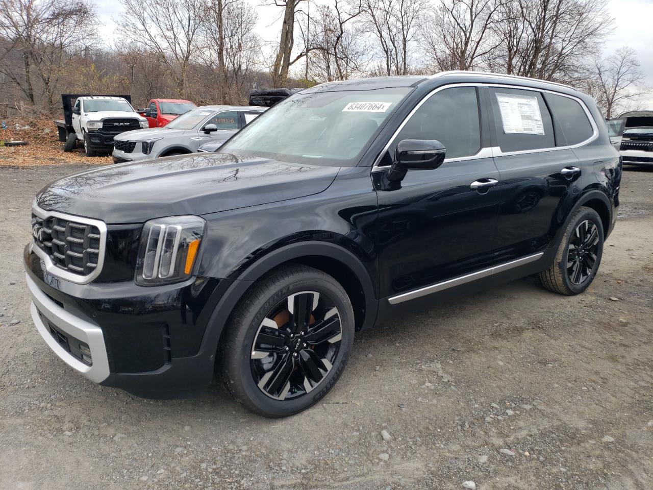 2024 KIA TELLURIDE SX VIN:5XYP5DGC3RG540392