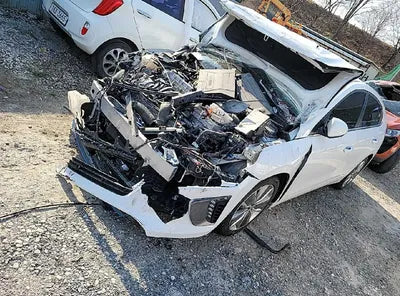 2019 Hyundai Ioniq KMHC851CGKU117393 VIN:KMHC851CGKU117393