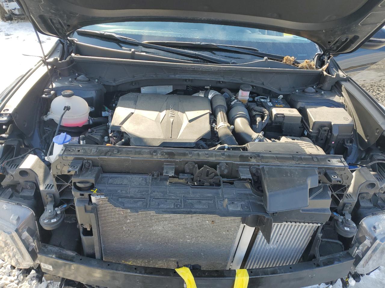 2023 HYUNDAI SANTA CRUZ SEL PREMIUM VIN:5NTJDDAF8PH051960