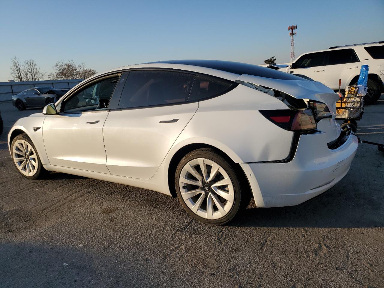 2022 TESLA MODEL 3  VIN:5YJ3E1EA5NF142729