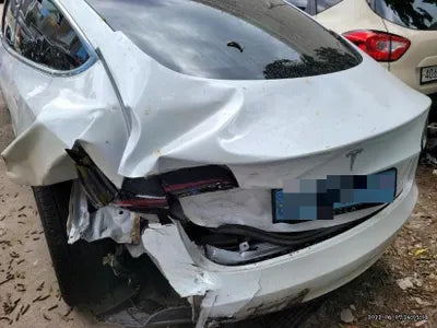 2020 Tesla Model 3 5YJ3E1EAXLF756513 VIN:5YJ3E1EAXLF756513