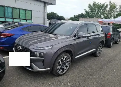 2021 Hyundai Santa FE KMHS581LGMU353118 VIN:KMHS581LGMU353118