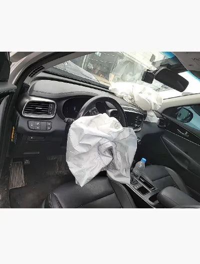 2020 Kia Sorento KNAPG81BDLA590067 VIN:KNAPG81BDLA590067
