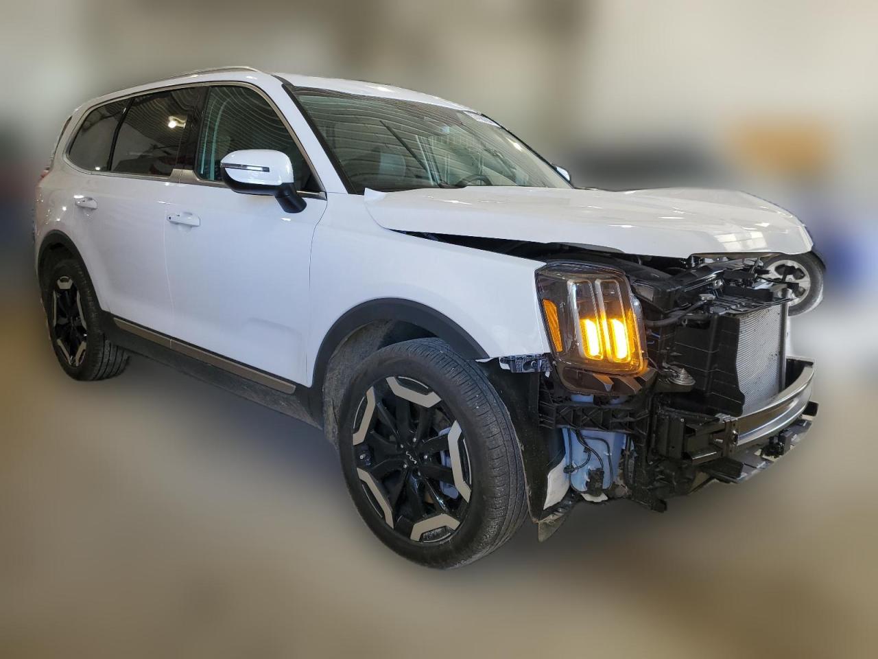 2024 KIA TELLURIDE EX VIN:5XYP3DGC8RG484830