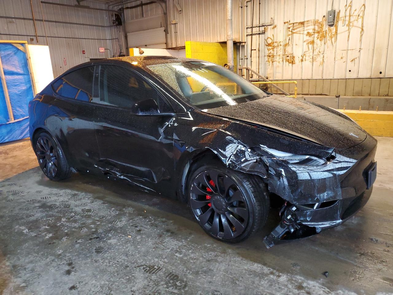 2023 TESLA MODEL Y  VIN:7SAYGDEF5PF795550