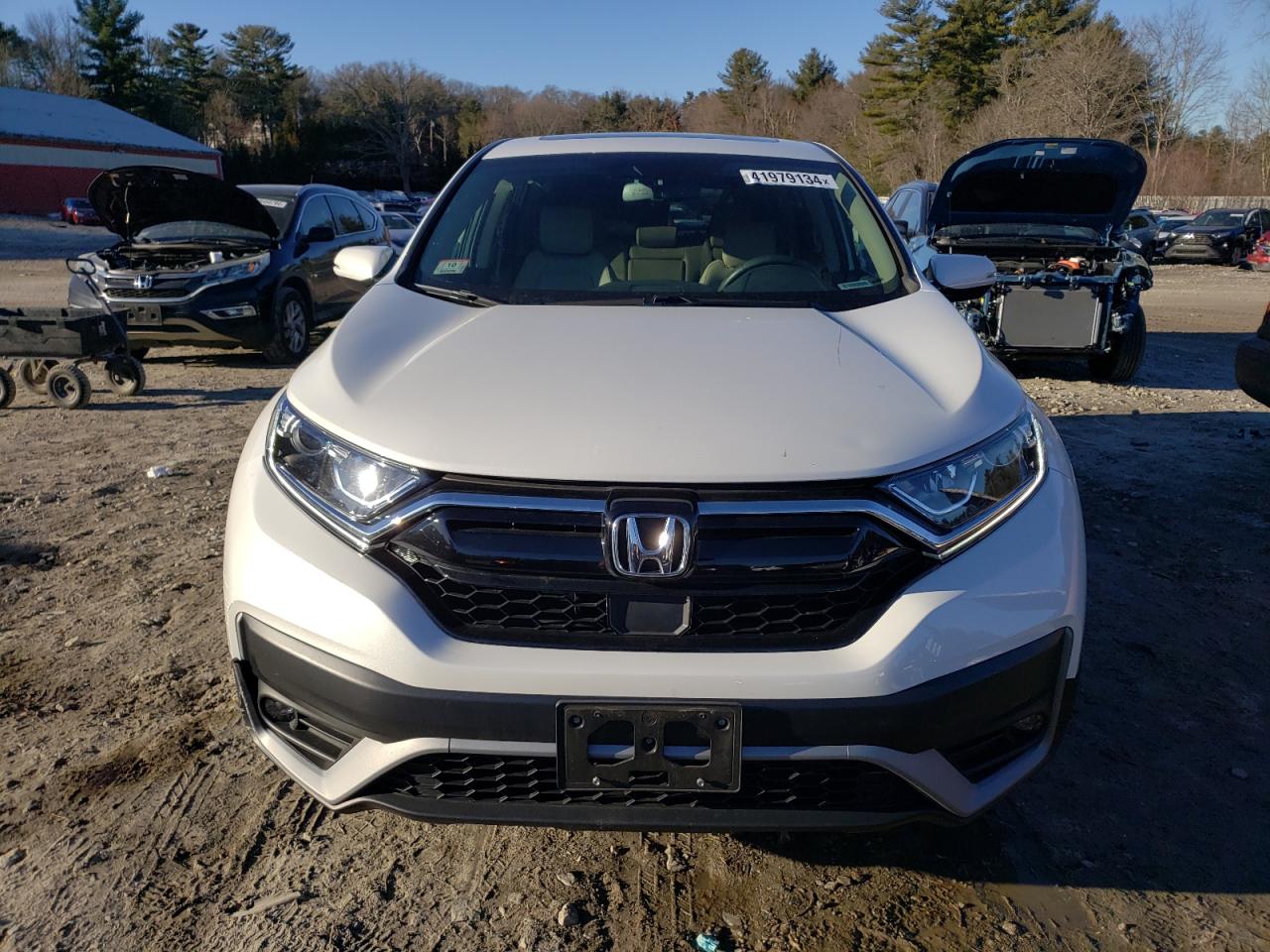 2022 HONDA CR-V EXL VIN:2HKRW2H88NH670661