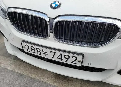 2019 BMW 530 WBAJD9100KWW51069 VIN:WBAJD9100KWW51069